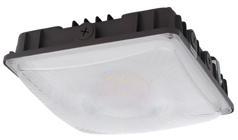 LED Canopy Light